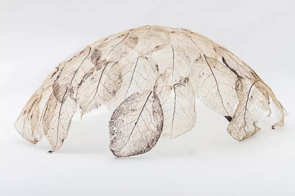 J’ai vu une fleur sauvage_ vue 3_AnneDamesin_20240125_Atelier Daguerre_ZapasnikMarieke