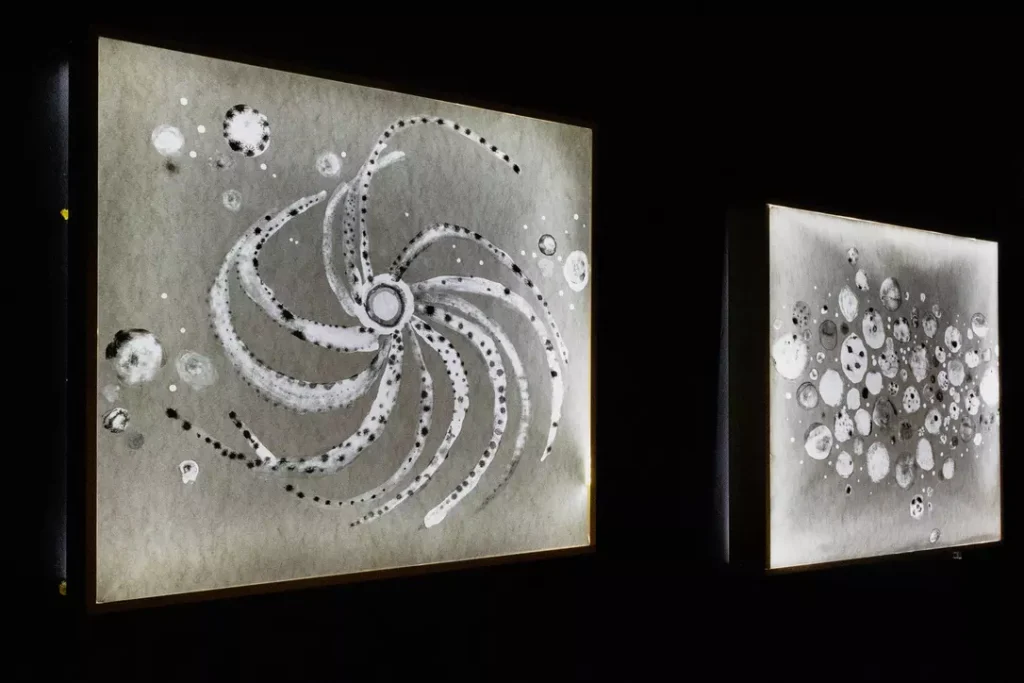 C3C5B16D-1BF5-4CA8-BF5E-4B8E914D421A_1_105_c