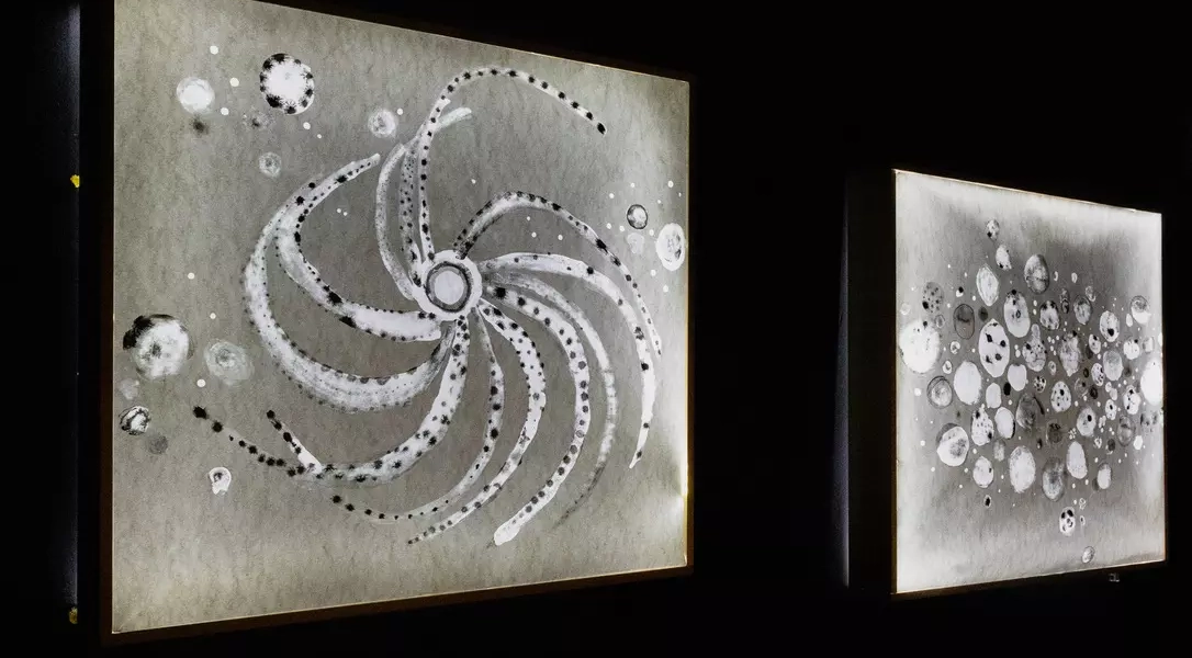 C3C5B16D-1BF5-4CA8-BF5E-4B8E914D421A_1_105_c