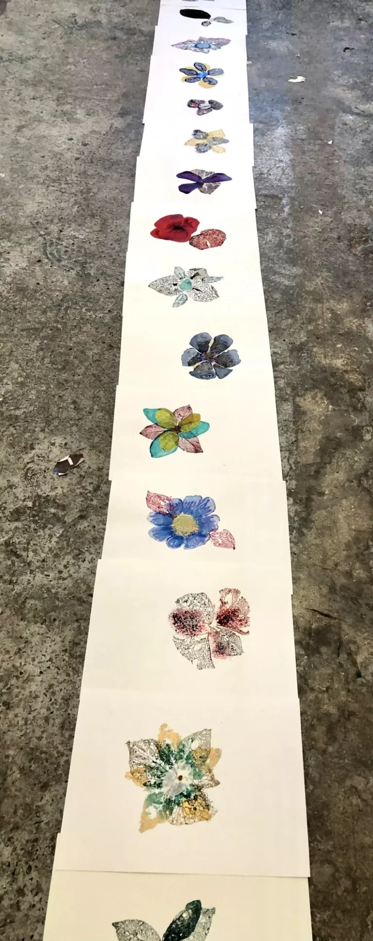 J’ai vu une fleur sauvage