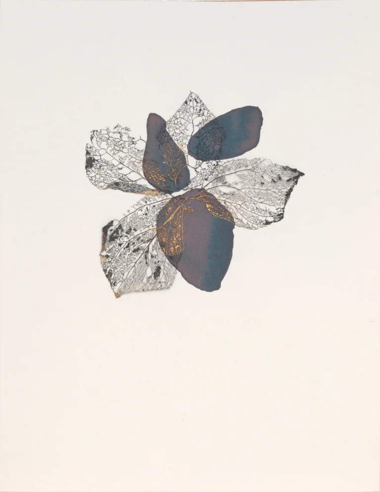 J’ai vu une fleur sauvage