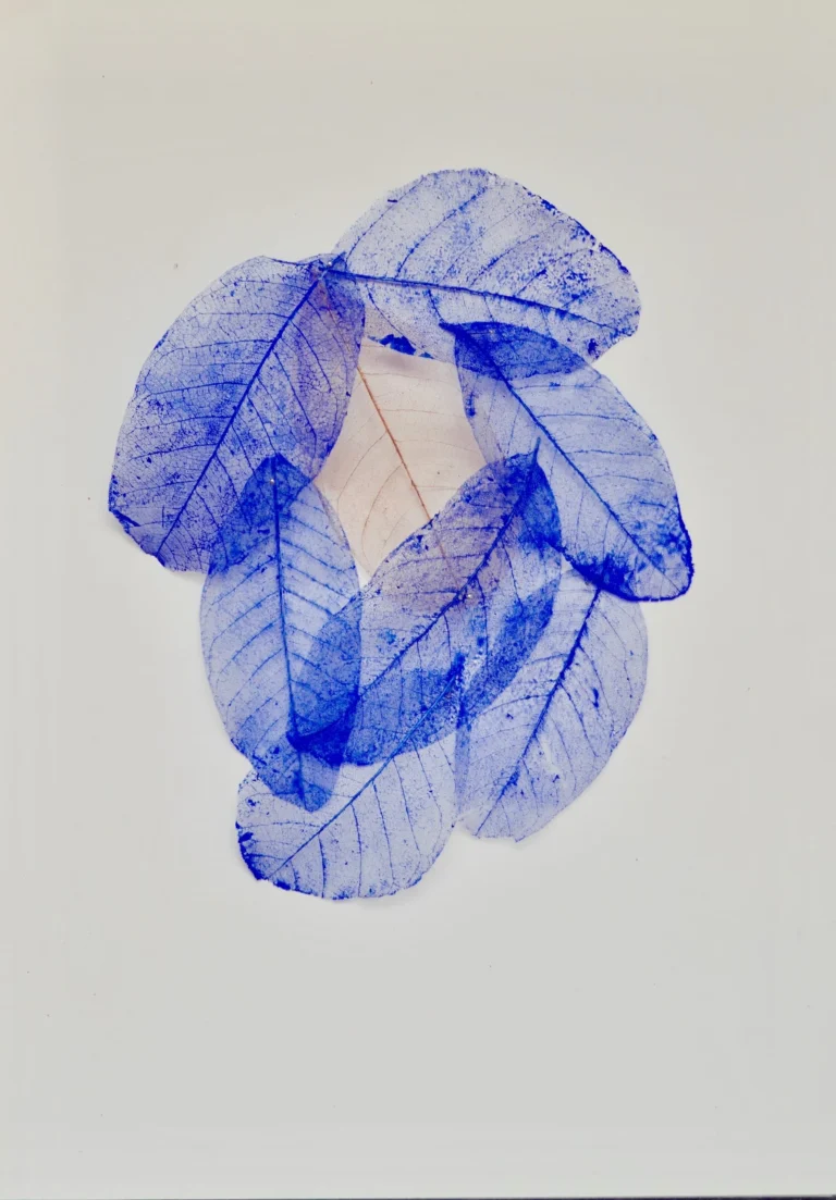 J’ai vu une fleur sauvage