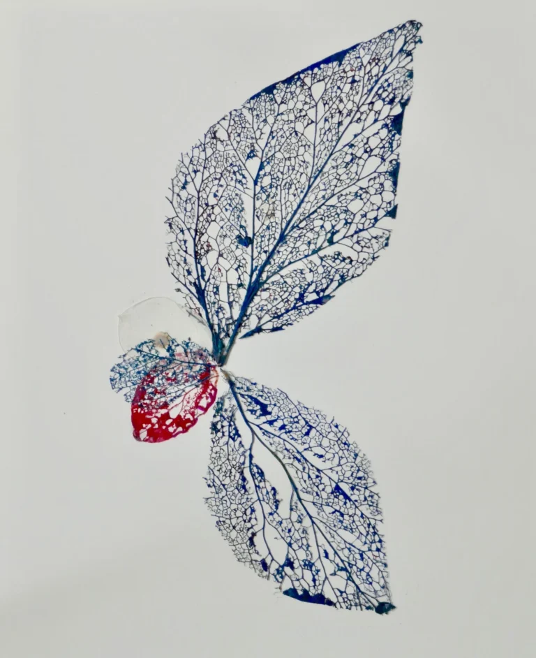 J’ai vu une fleur sauvage