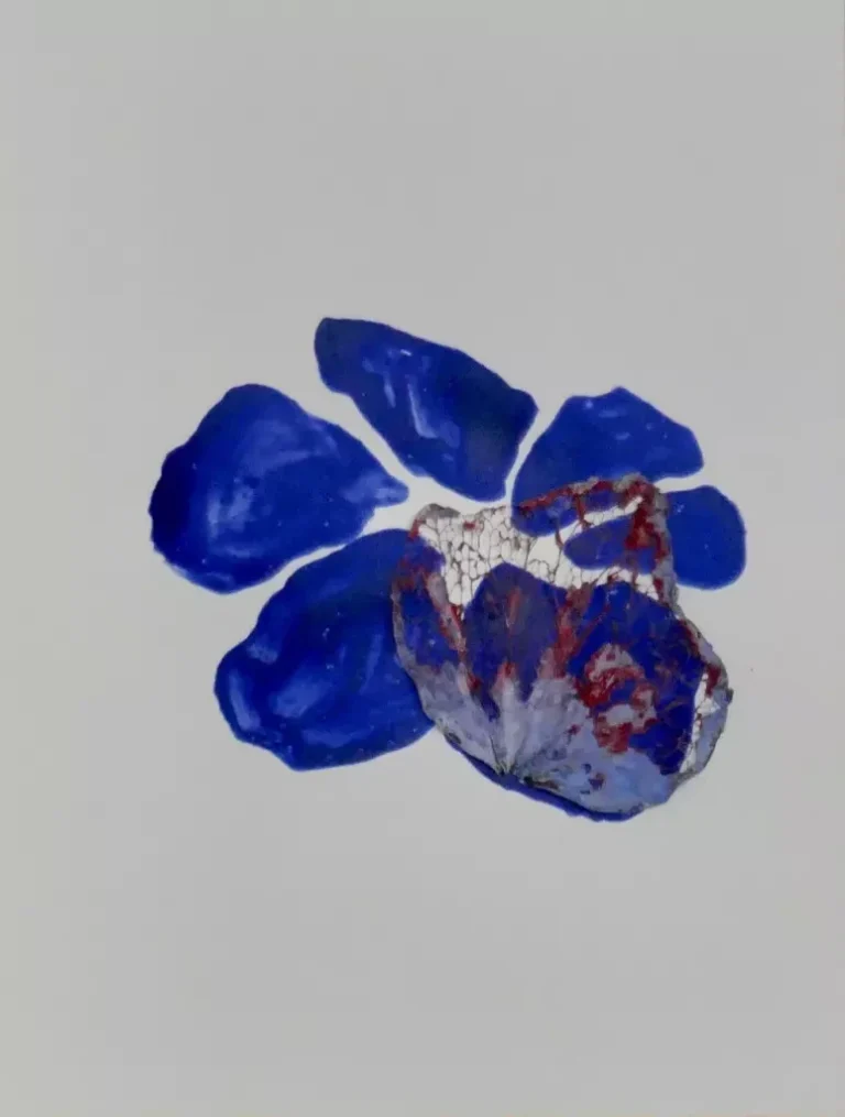 J’ai vu une fleur sauvage