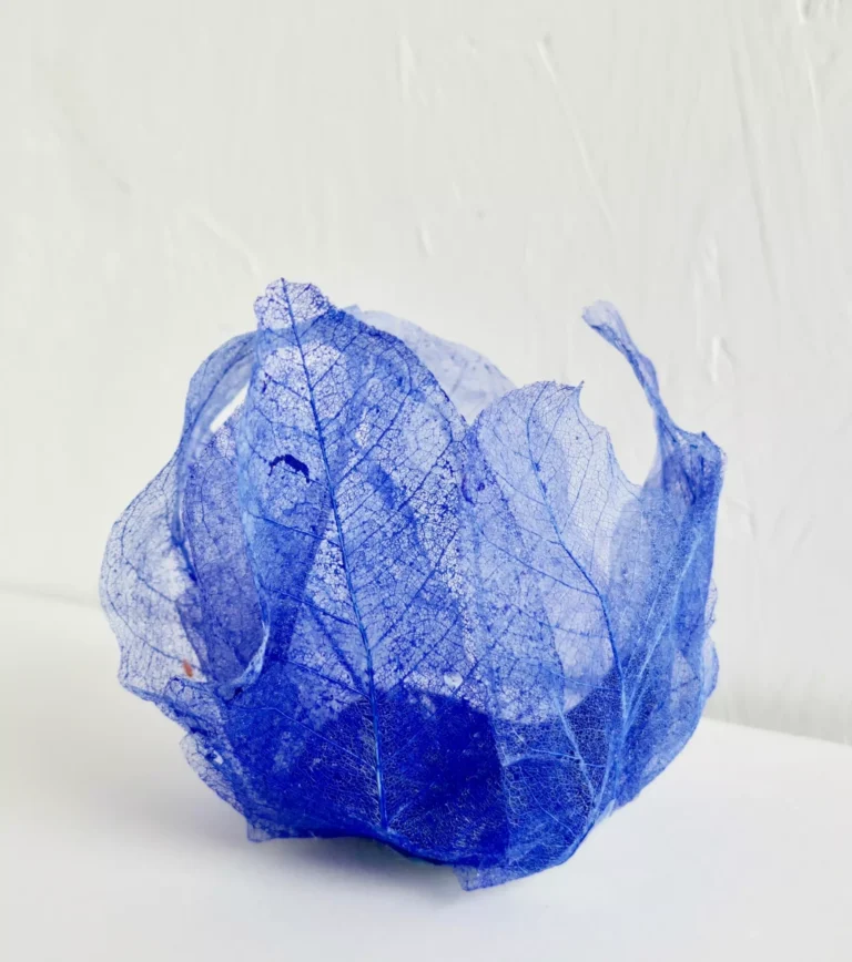 J’ai vu une fleur sauvage