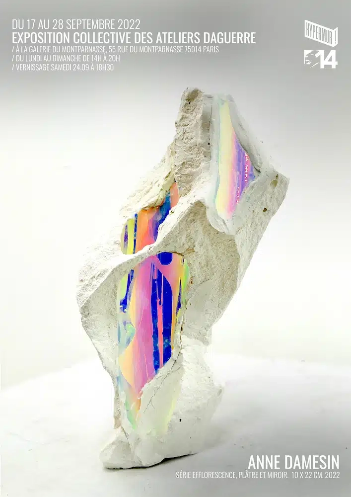 Anne damesin affiche