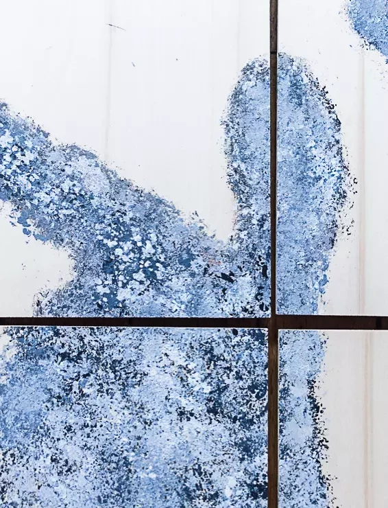 Contamination detail 1 annedamesin 20240122 atelier daguerre zapasnikmarieke