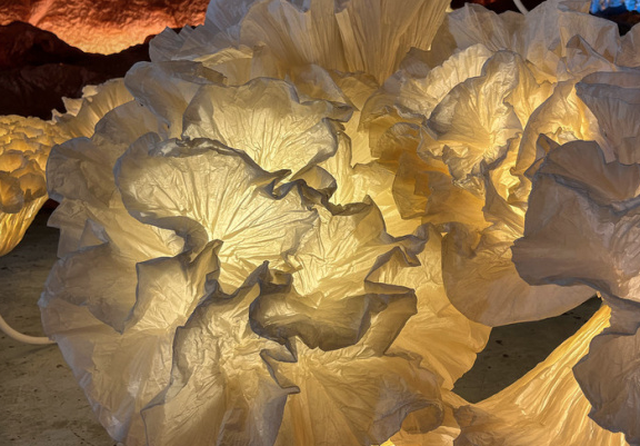 Un monde organique fait de papiers