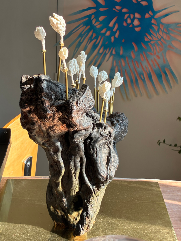 Bassedefvolumelaiton