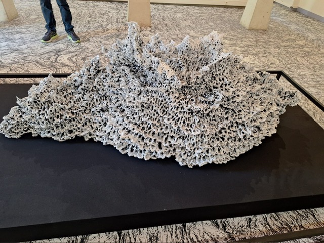 PHOTO 2026 05 12 08 37